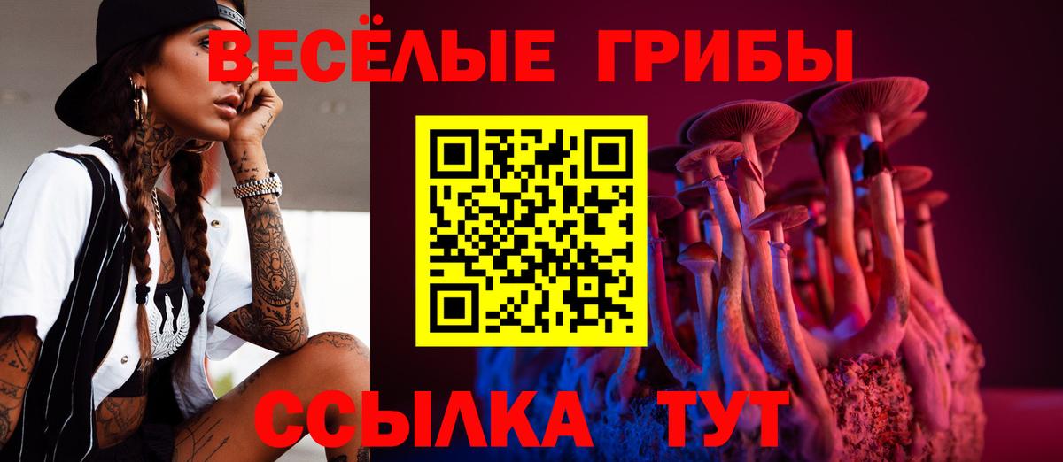Псилоцибиновые грибы мухоморы Ноябрьск